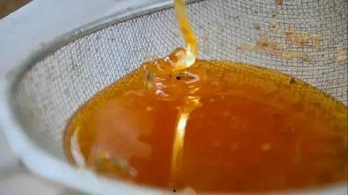 蜂蜜之地,探寻蜂蜜之地的神秘魅力