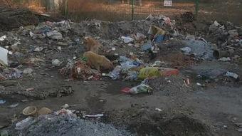 垃圾场,环境挑战与可持续发展之路