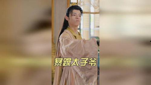 暴躁太子爷,暴躁太子爷的逆袭之路