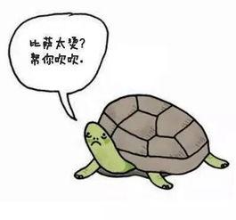 切勿独自进食,切勿独自进食的五大理由