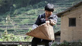 再次来寻我,再次来寻的温馨篇章