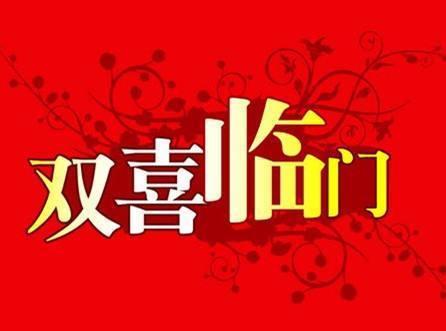 双喜临门之佳偶天成,佳偶天成的甜蜜邂逅